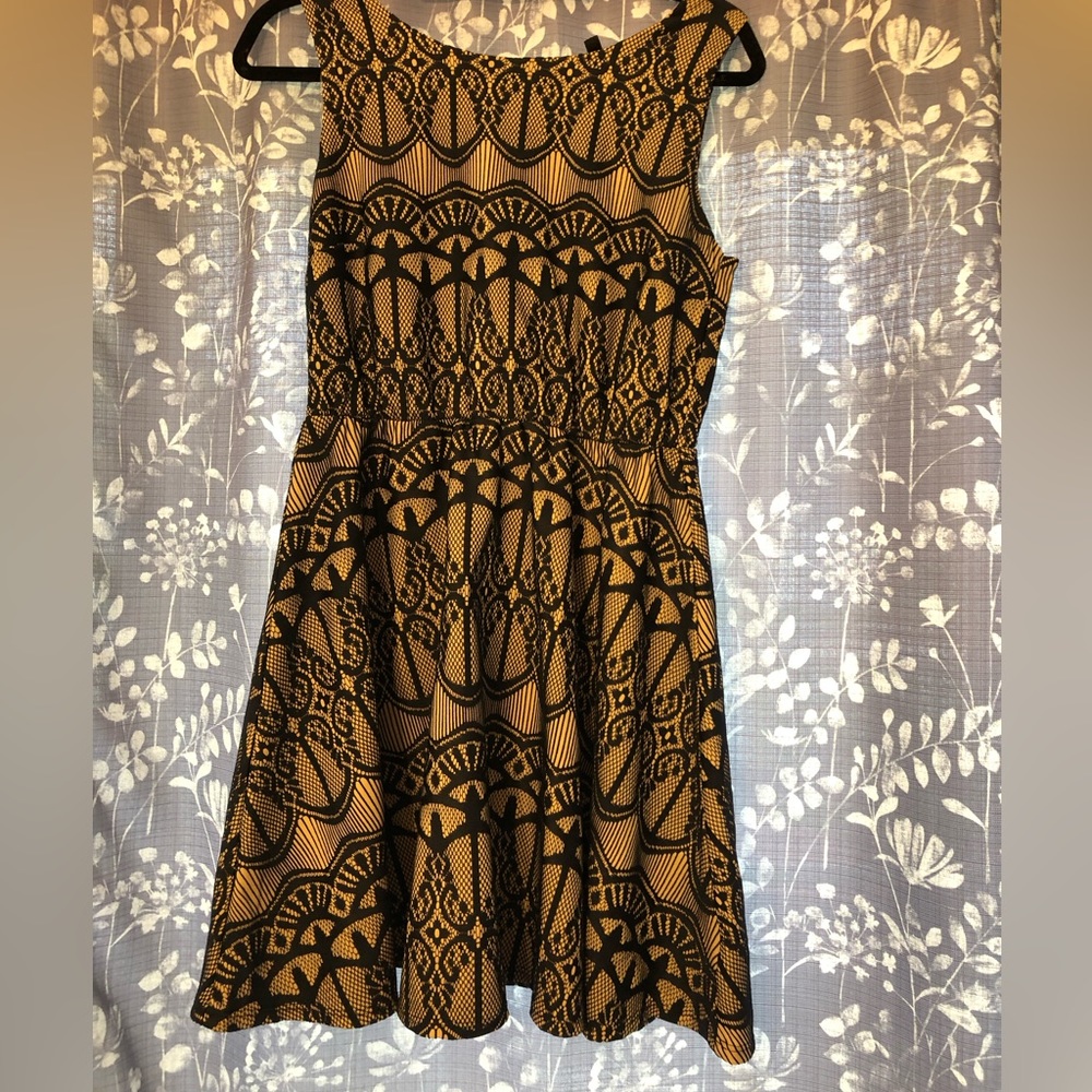 Navy with nude background lace dress. New with tags.